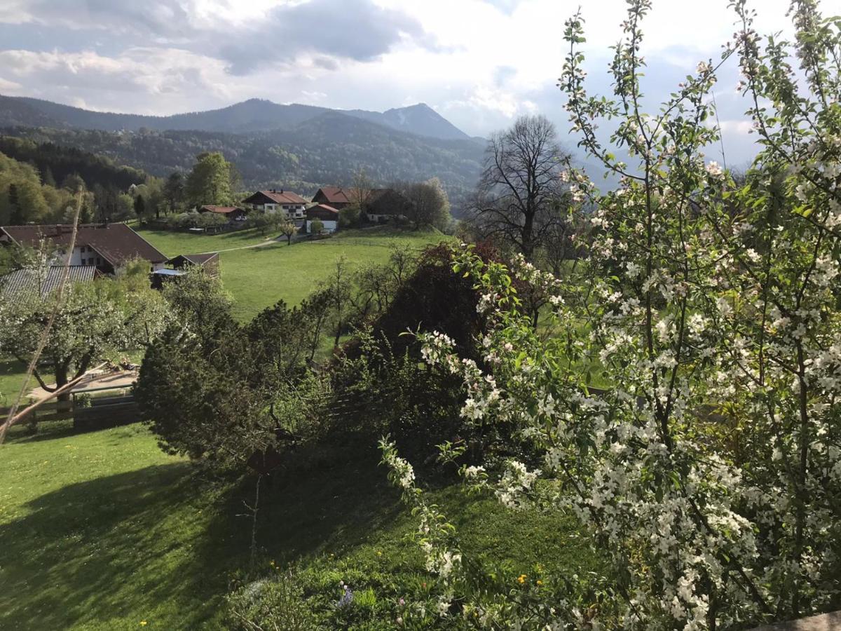 Entspannen Mit Bergpanorama Siegsdorf Eksteriør bilde